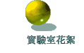 Ǫᵶ